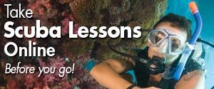 Free PADI Intro to Open Water diver online